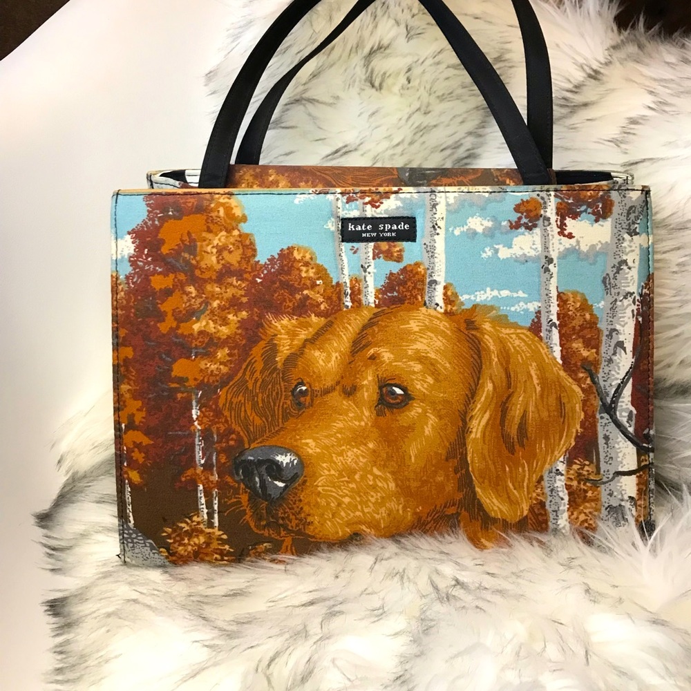 Kate Spade purse, rare find